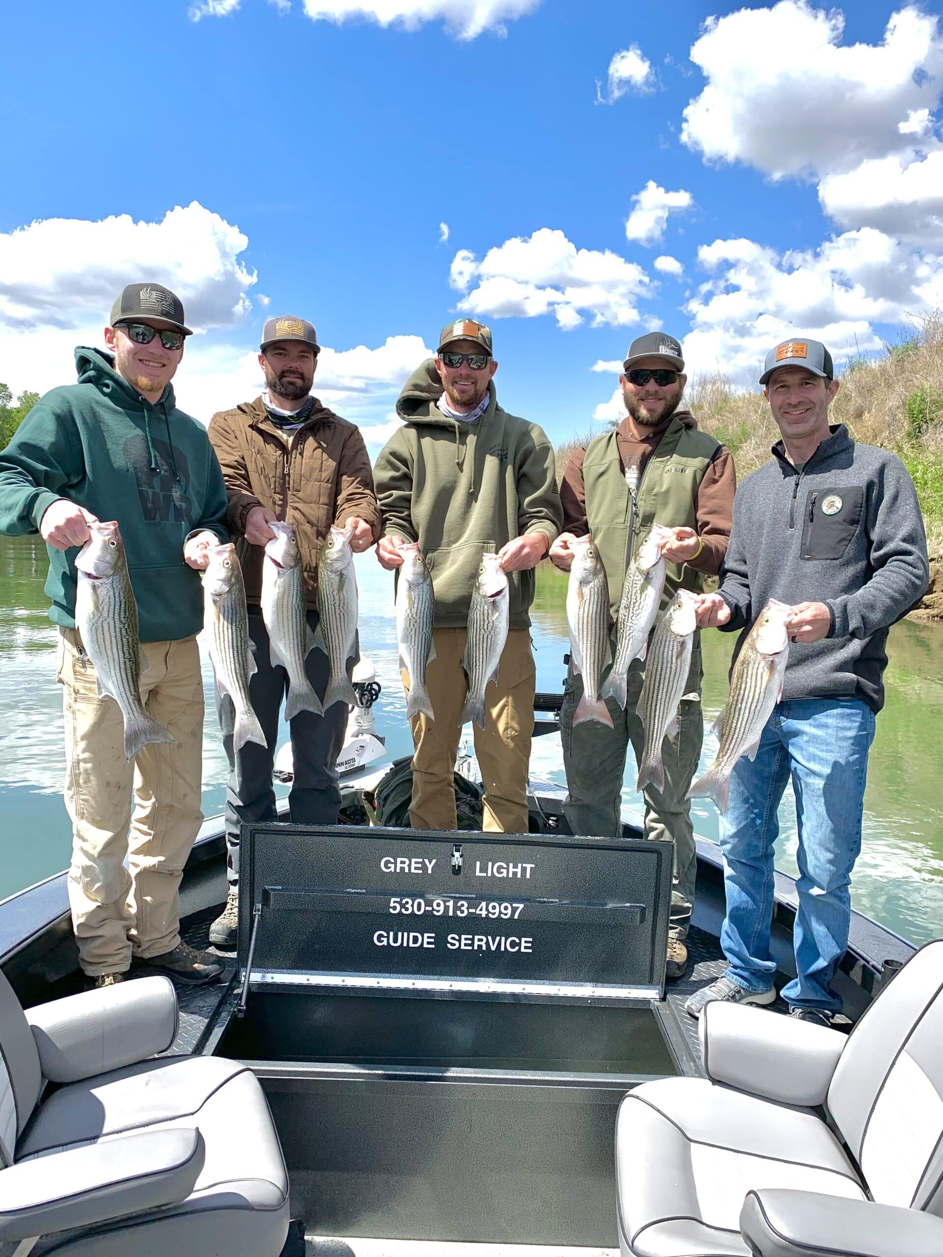 Grey Light Guide Service — photo 2